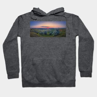 Panoramic summer sunset Hoodie